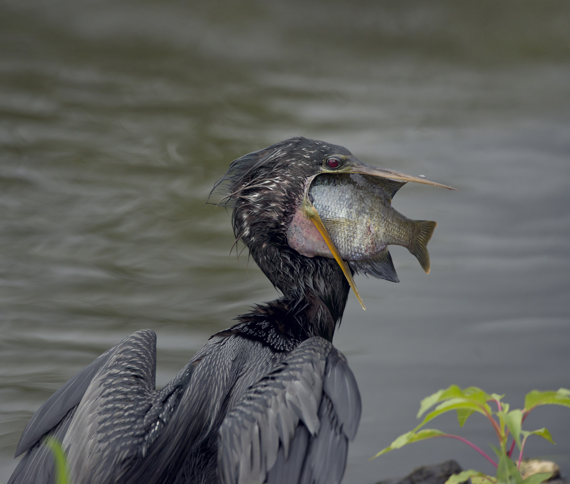 金融委會議發出信號! 不過度追求規模擴張和發展速度   鼓勵好機構兼并風險機構